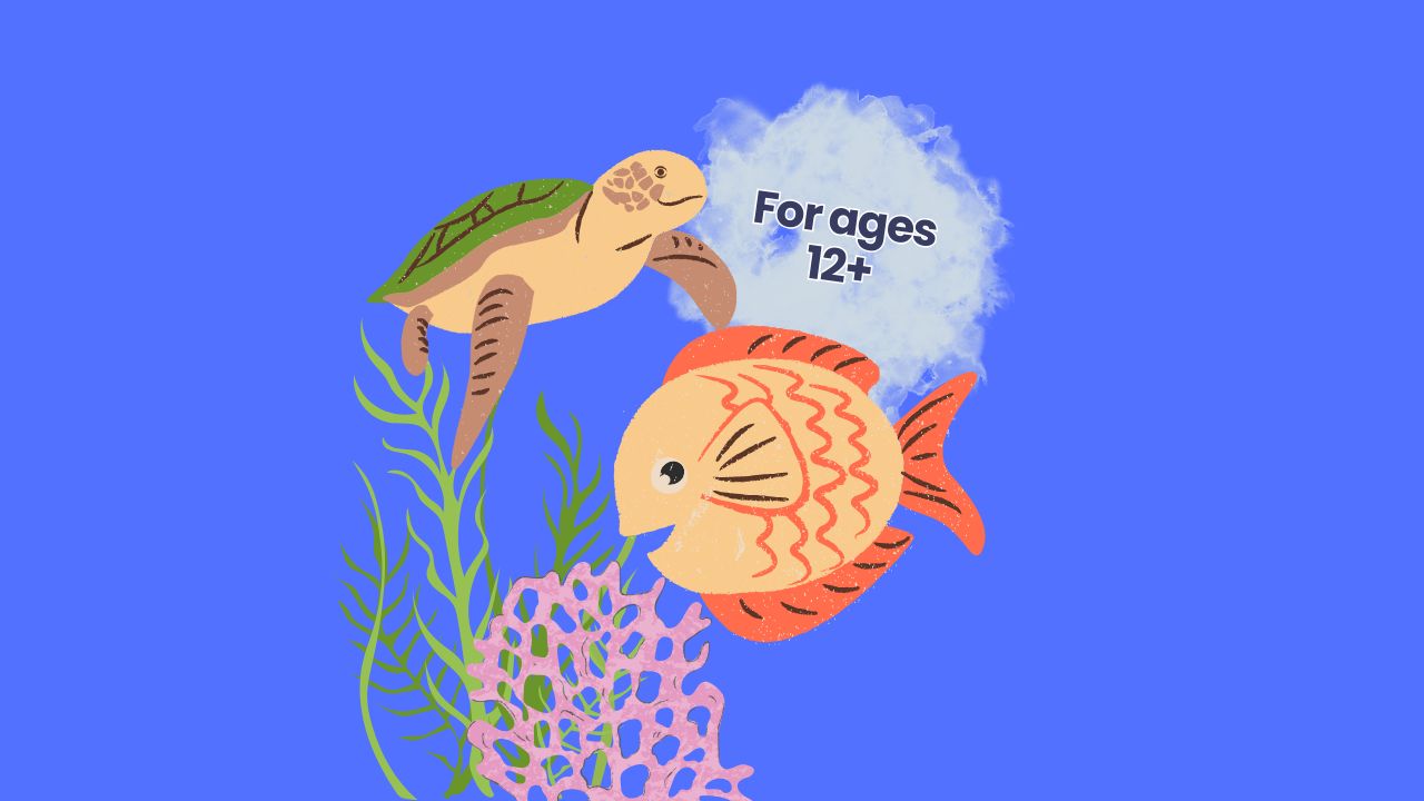 Featured Image for Watercolour Seascapes – Creative Workshop for Teens & Adults 1.30-3