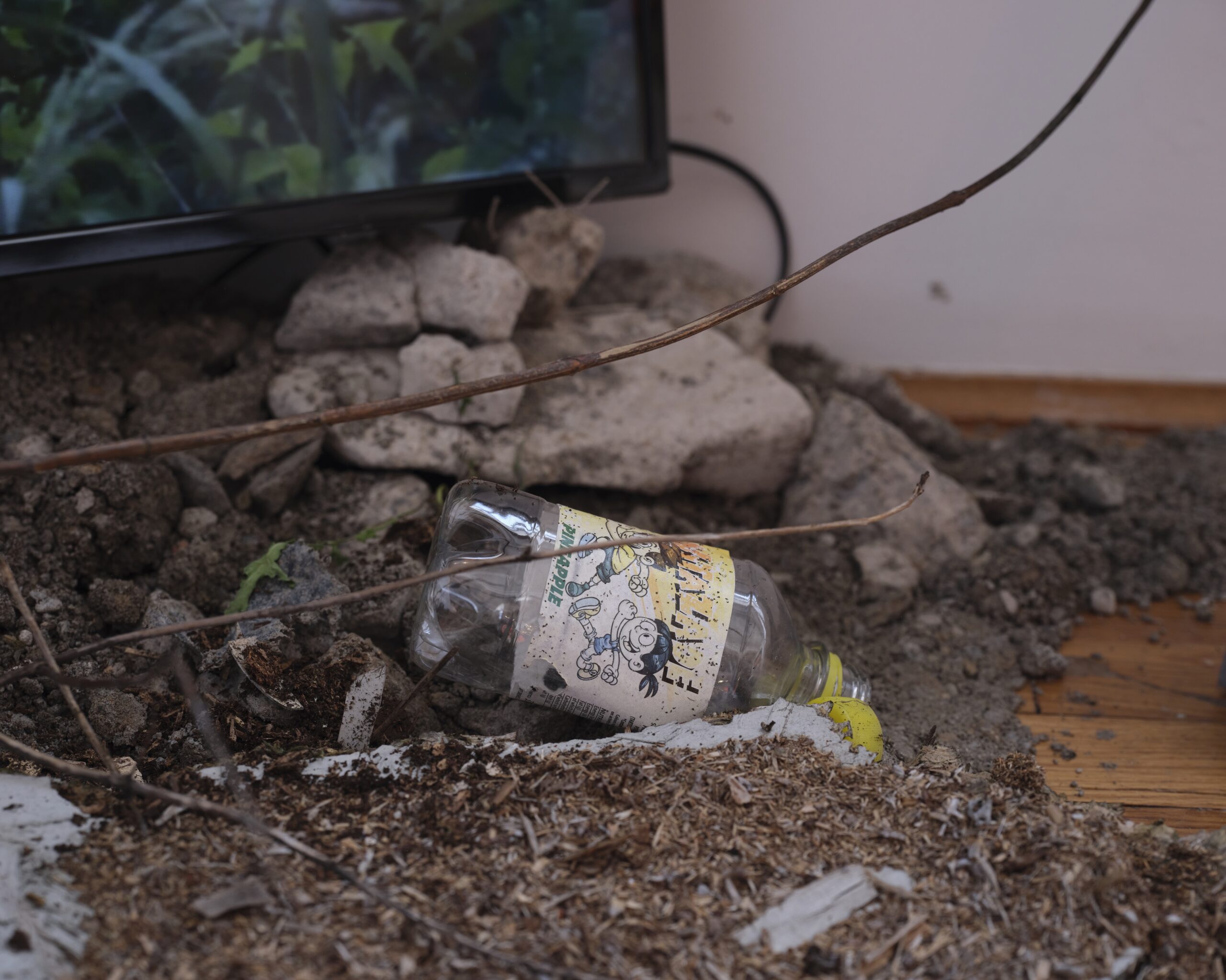 Featured Image for Radical Hope – works from the Arsenal Gallery collection