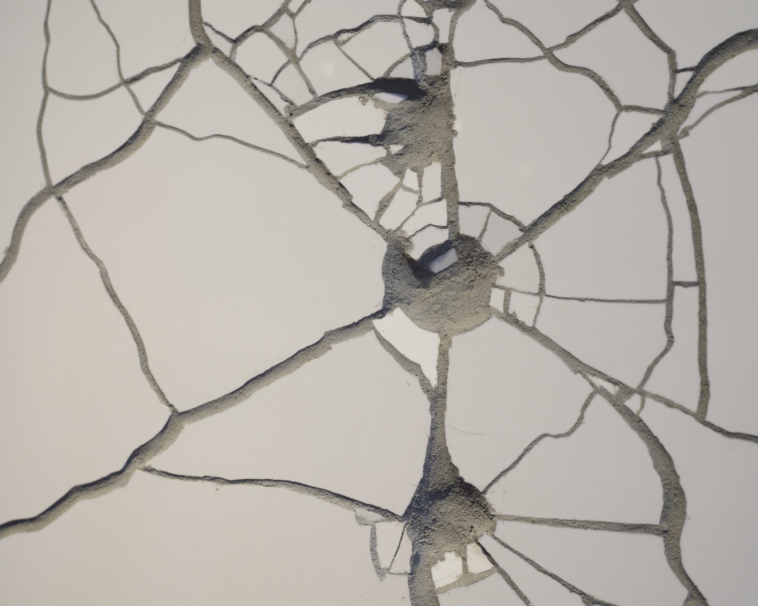 Featured Image for Radical Hope – works from the Arsenal Gallery collection