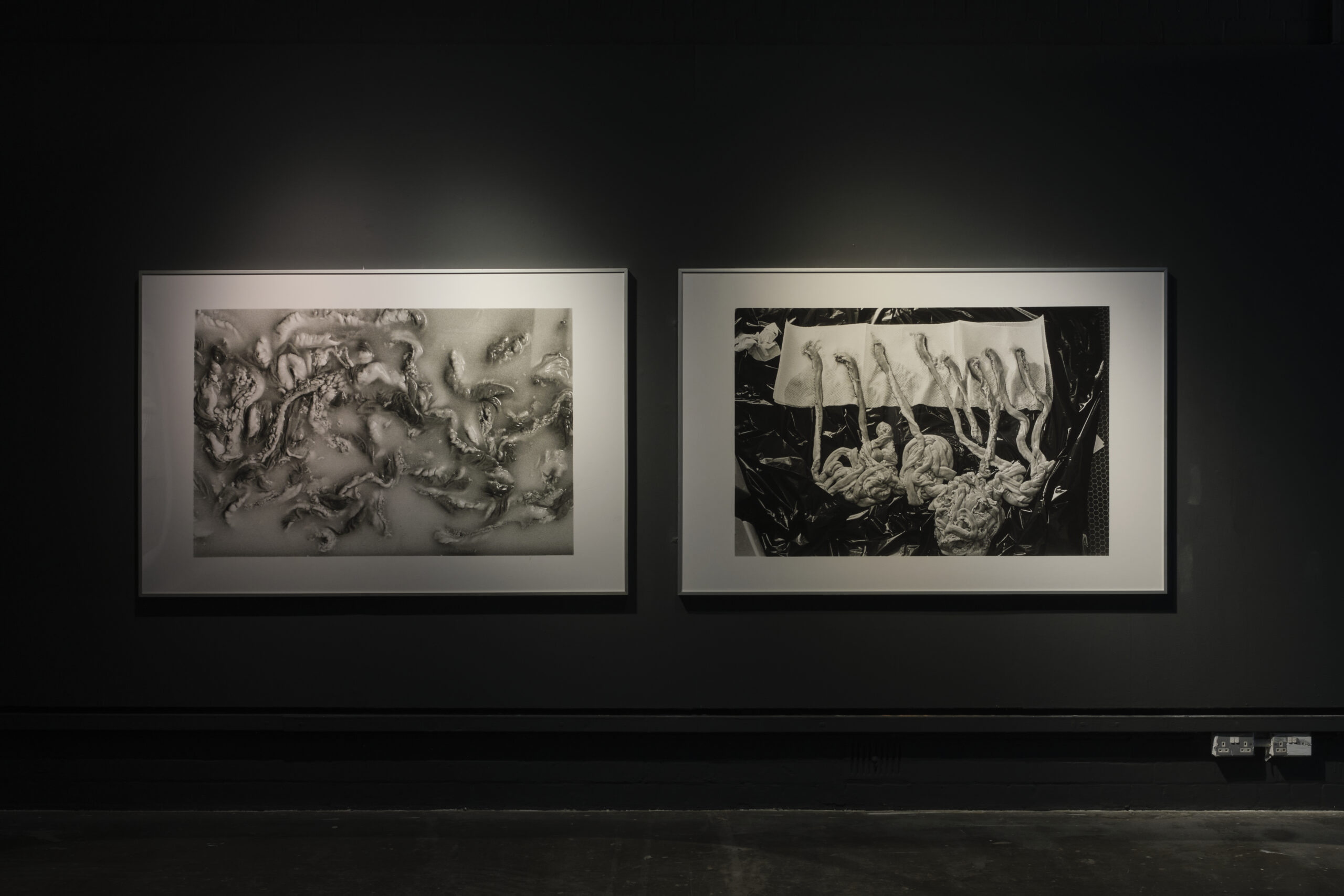 Featured Image for HOLD ON TIGHT – Sinéad O’Donnell,  Jayne Parker, Katherine Nolan, Hollie Miller