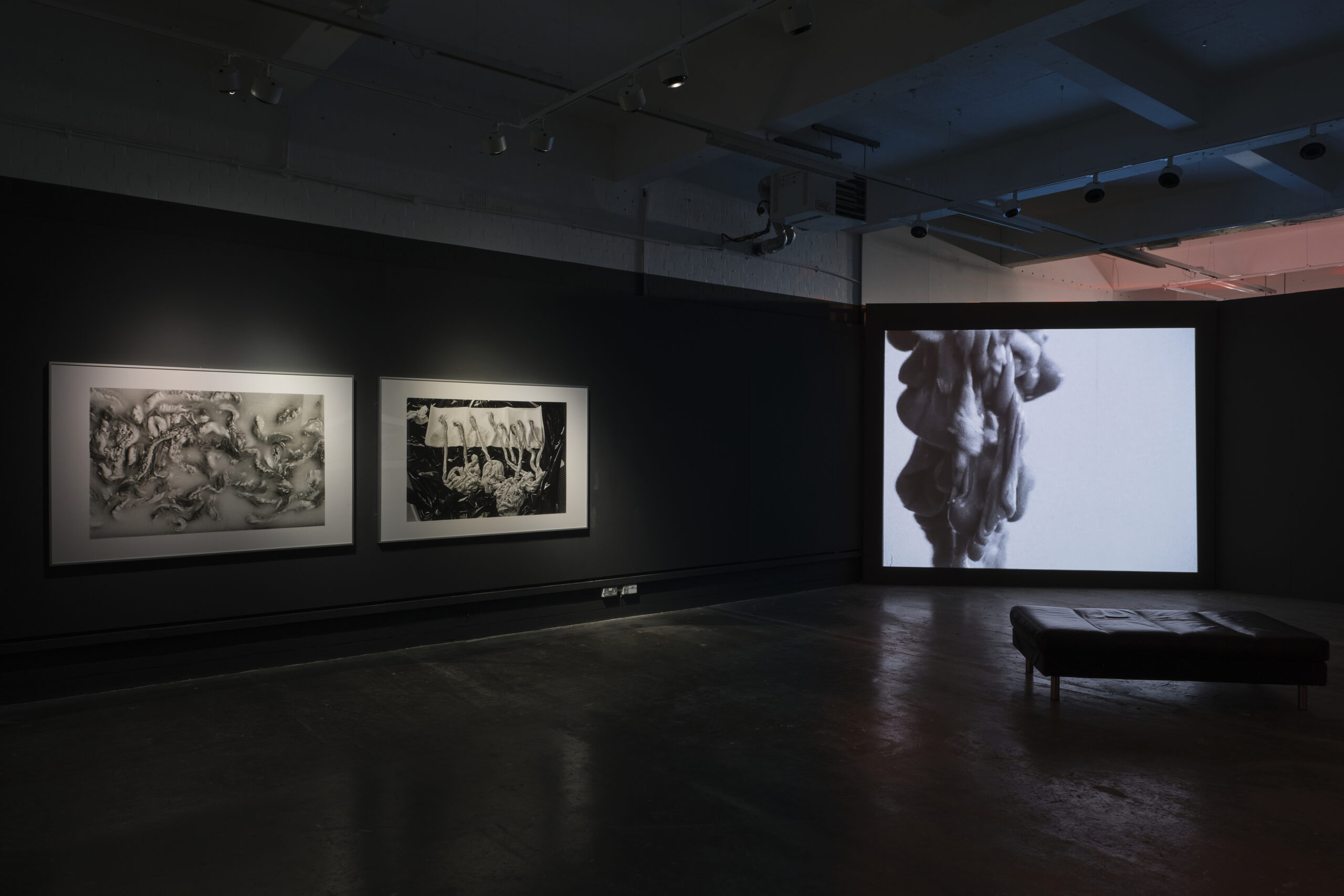 Featured Image for HOLD ON TIGHT – Sinéad O’Donnell,  Jayne Parker, Katherine Nolan, Hollie Miller