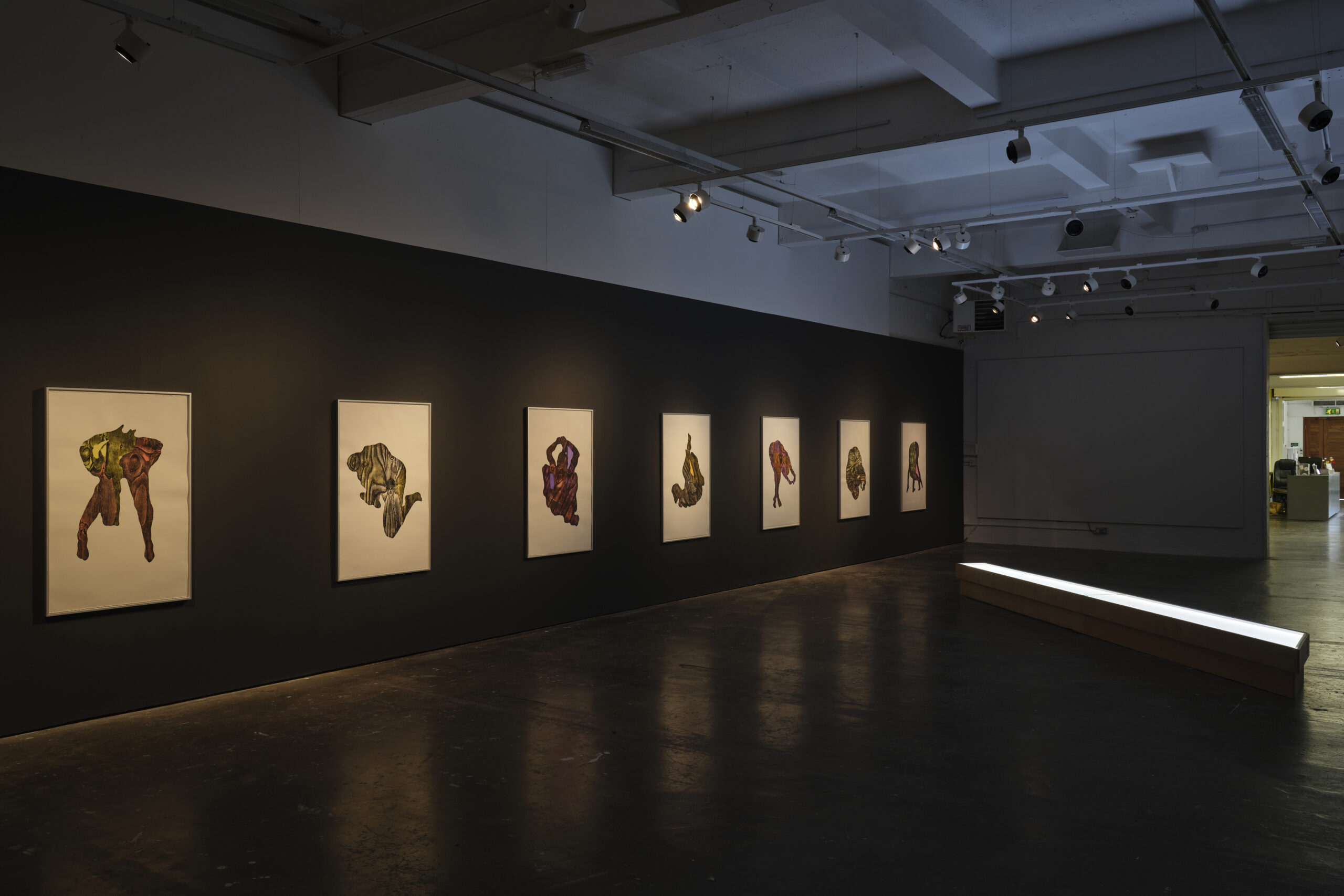 Featured Image for VOX HYBRIDA – Alice Maher | Emma Brennan | Chloe Austin