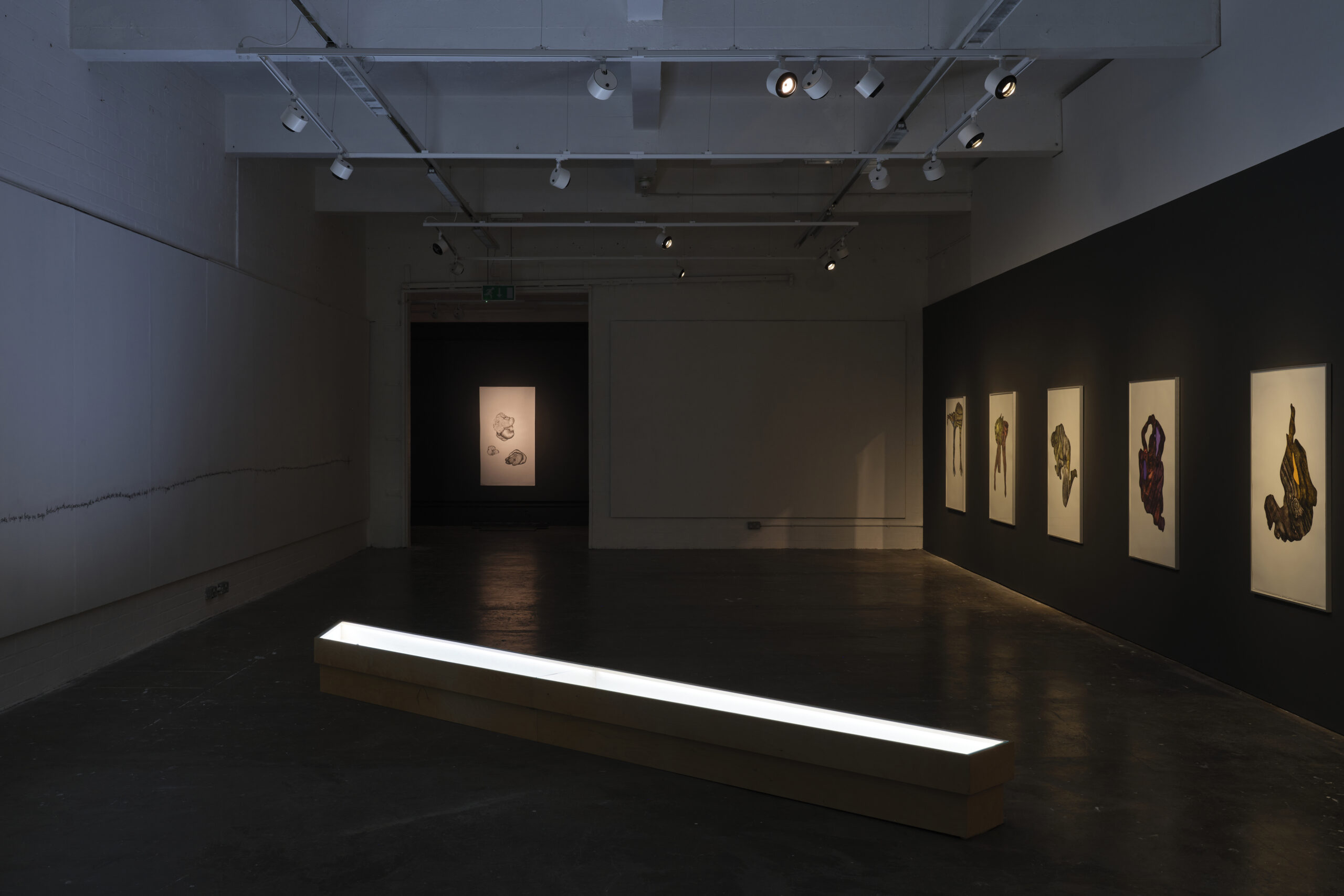 Featured Image for VOX HYBRIDA – Alice Maher | Emma Brennan | Chloe Austin