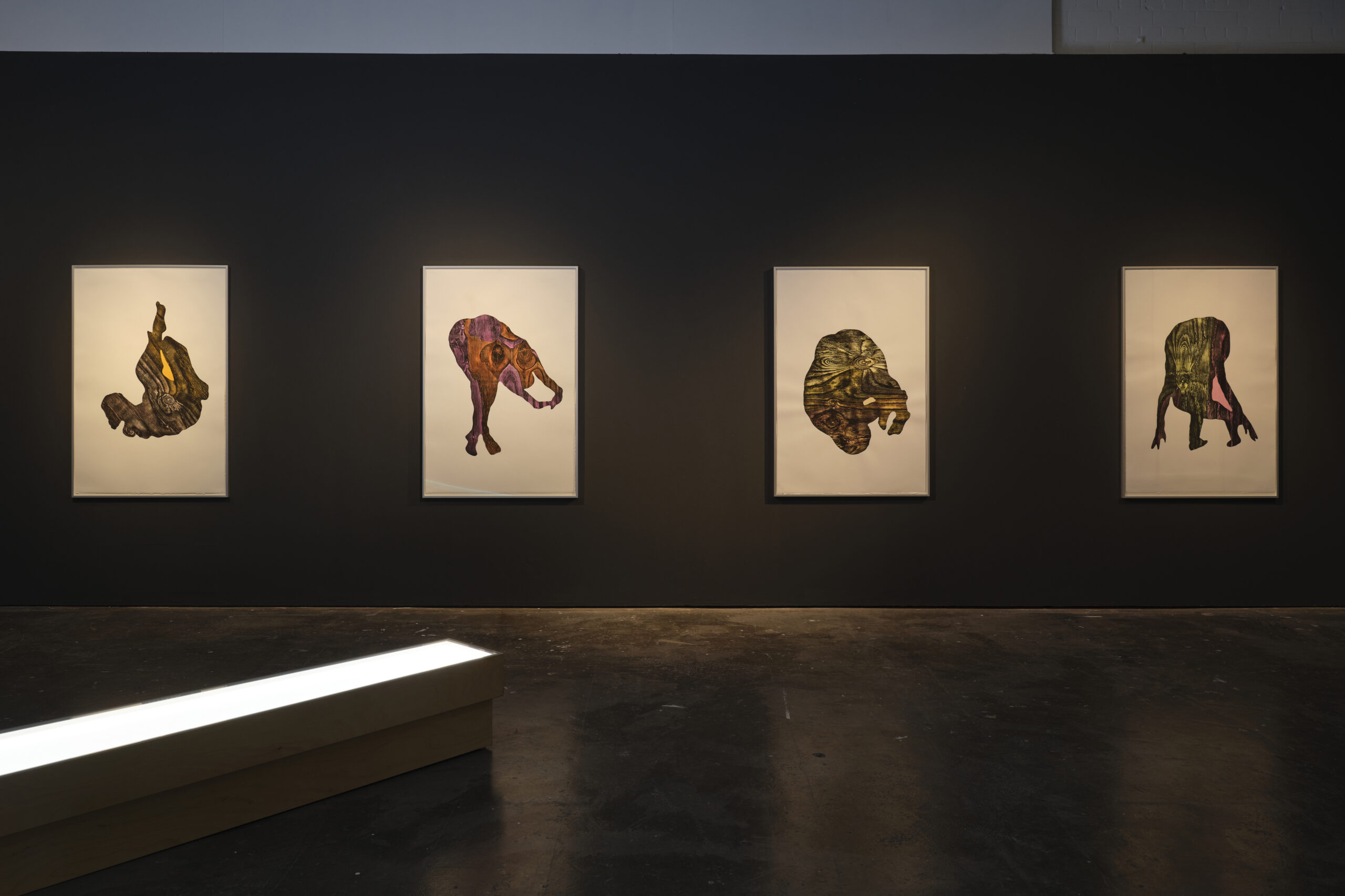 Featured Image for VOX HYBRIDA – Alice Maher | Emma Brennan | Chloe Austin