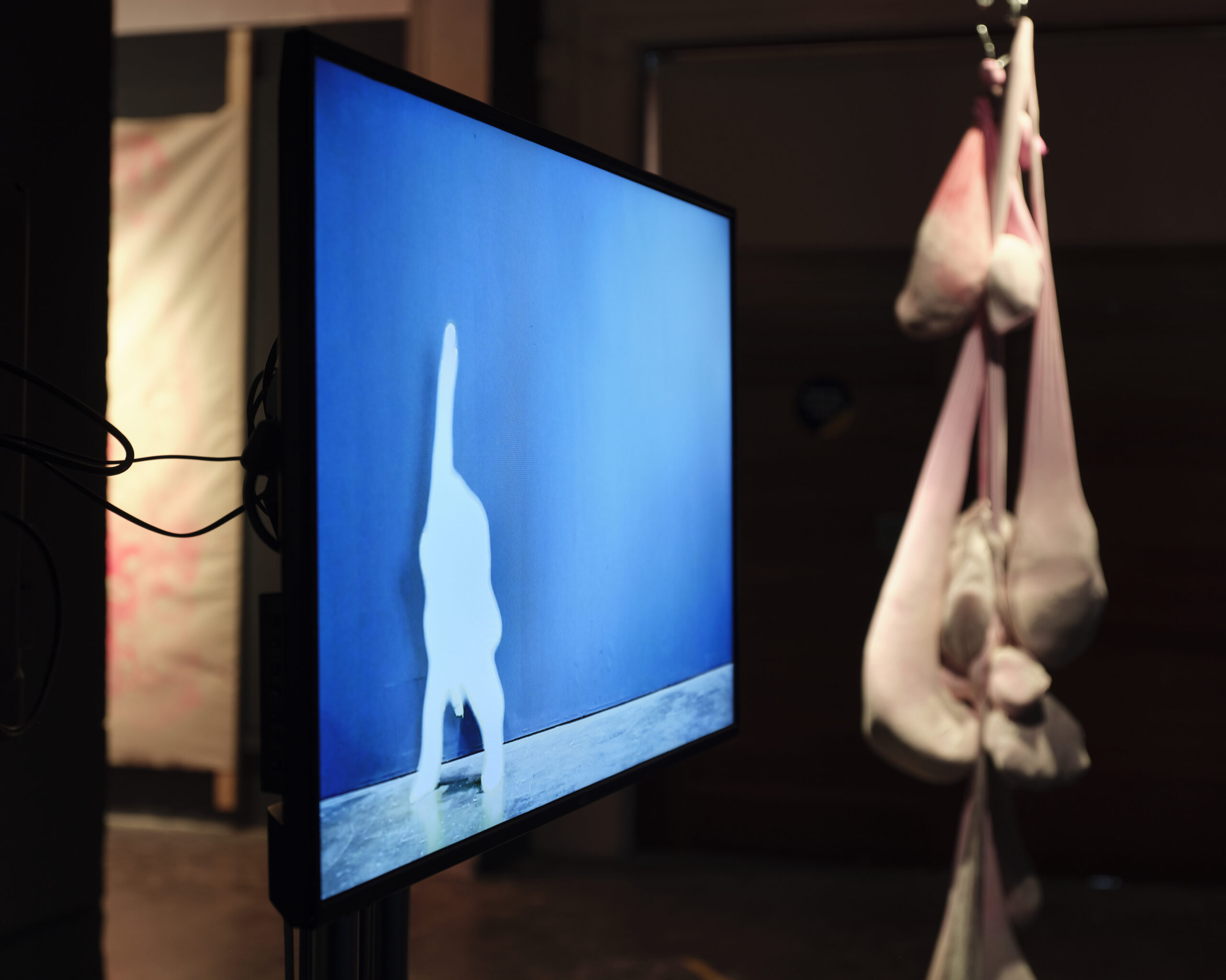 Featured Image for VOX HYBRIDA – Alice Maher | Emma Brennan | Chloe Austin