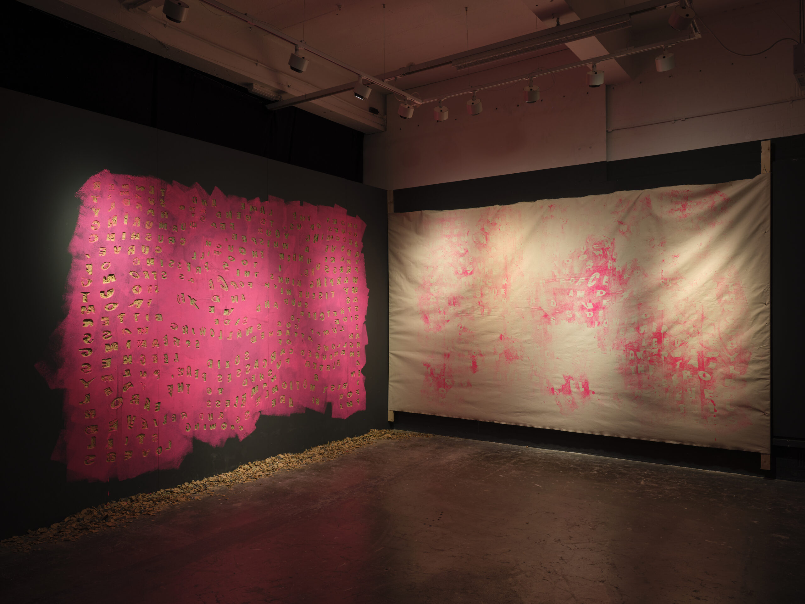 Featured Image for VOX HYBRIDA – Alice Maher | Emma Brennan | Chloe Austin