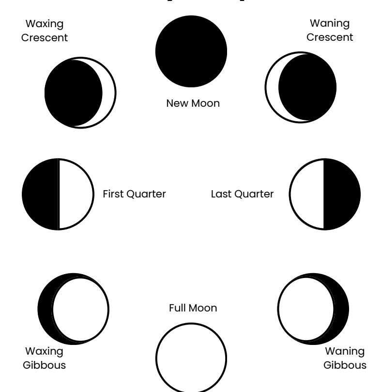 Featured Image for Phases of the Moon