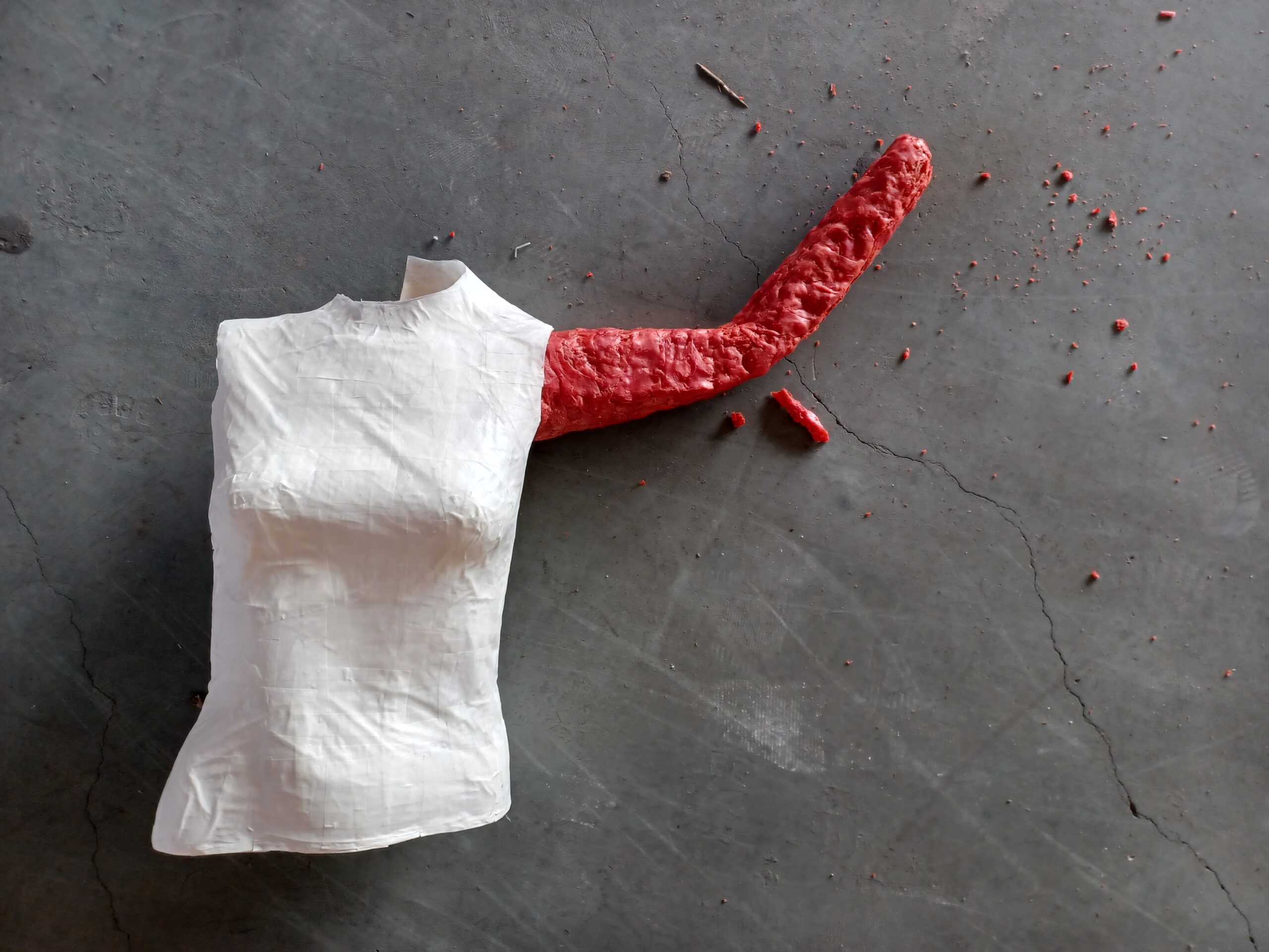 Featured Image for Disposal of Fullness – Sharon Kelly