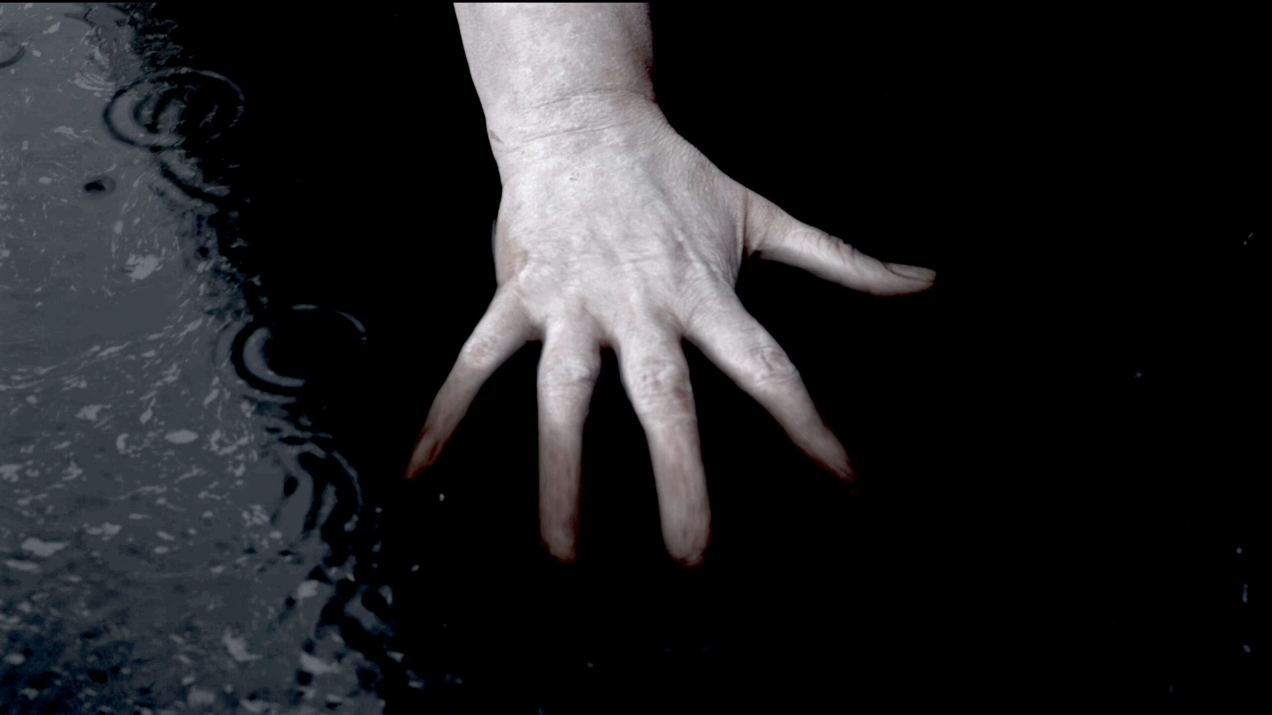 Featured Image for LATE NIGHT ART: HERMOSTASIS pop-up screening
